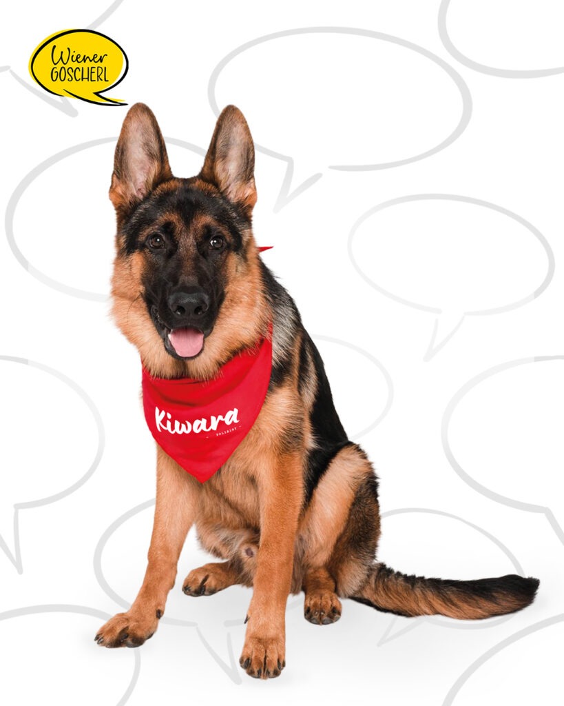 Kiwara Hunde-Bandana / Bild: Wiener Goscherl