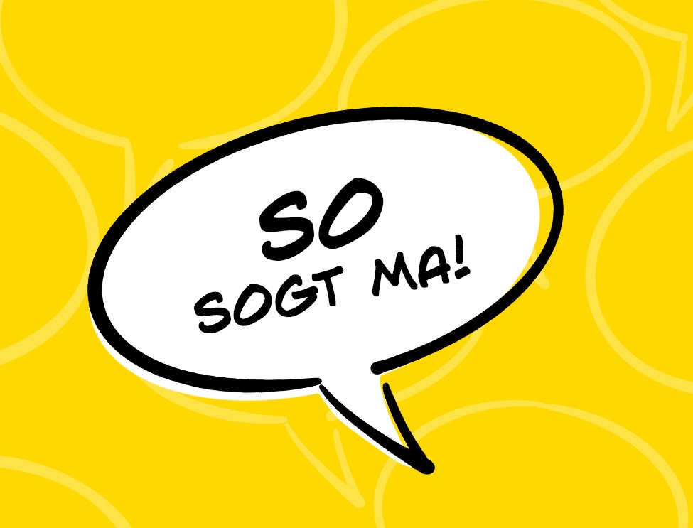 "So sogt ma" - Wienerische Ausdrücke und Begriffe ©Wiener Goscherl